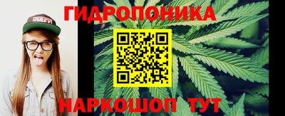 гидропоника Новоалександровск
